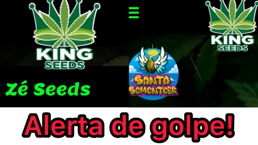 Alerta de golpe: sites falsos usam nome de bancos de sementes brasileiros para enganar cultivadores