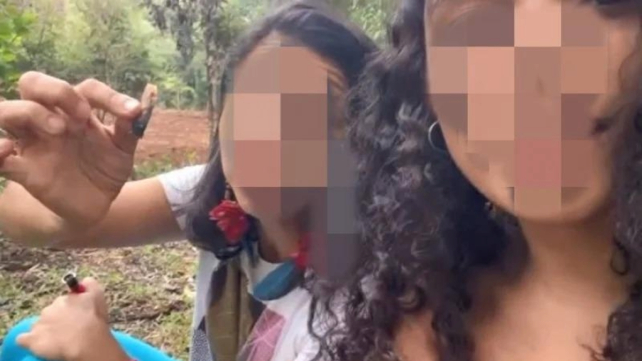 Professoras são afastadas após vídeo com suposto uso de cannabis em Santa Catarina