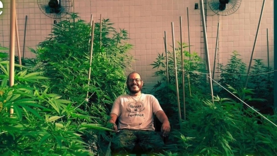  “No-Veg”: revolução no cultivo ou marketing reciclado? Especialista brasileiro contesta nova tendência