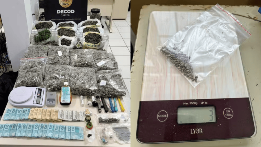 Homem com HC para cultivo medicinal é preso em SC