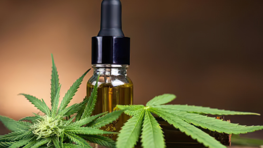 Guerra da Cannabis no judiciário: como a nova diretriz do TJDFT fechou as portas para pacientes do SUS