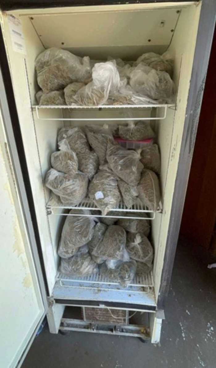 Estoque de Cannabis