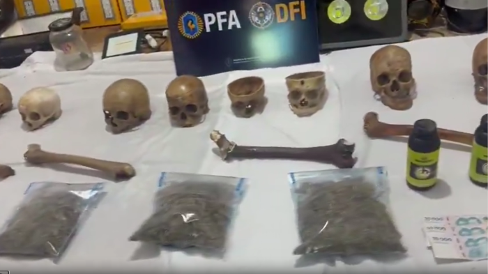 policia-argentina-encontra-ossos-humanos-em-cultivo-de-cannabis-e-levanta-suspeita-de-uso-como-adubo Ossos localizados na operação.