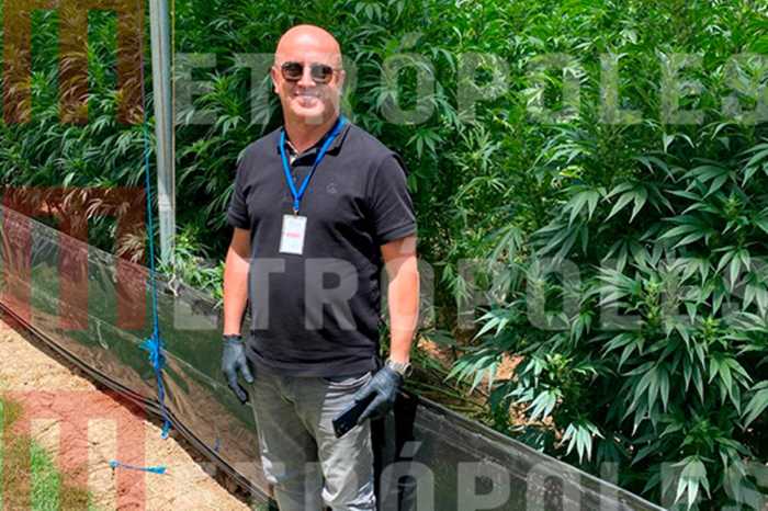 Careca do INSS em um plantação de maconha.