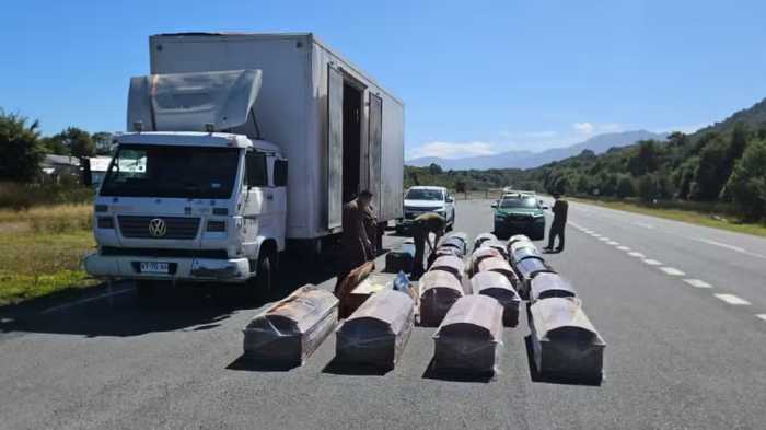 Maconha em caixões. 