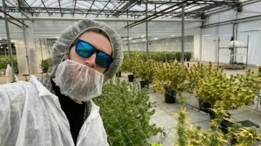 Filho de ator global cultiva cannabis legalmente no Canadá e defende legalização no Brasil