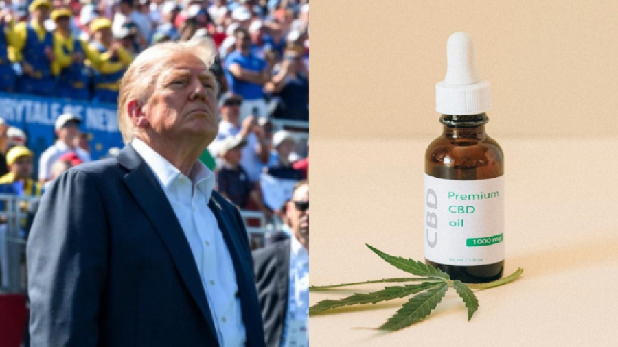Vídeo de Trump sobre CBD mobiliza mercado e gera debate federal nos EUA