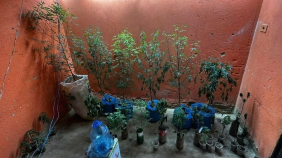 Homem é preso após descoberta de 