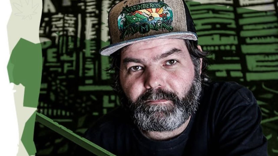 “Se pudessem, vendiam Habeas Corpus para usar Instagram”, diz fundador do Growroom sobre suspensão de perfis canábicos