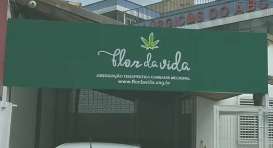 Associação canábica Flor da Vida é alvo de tentativa de assalto