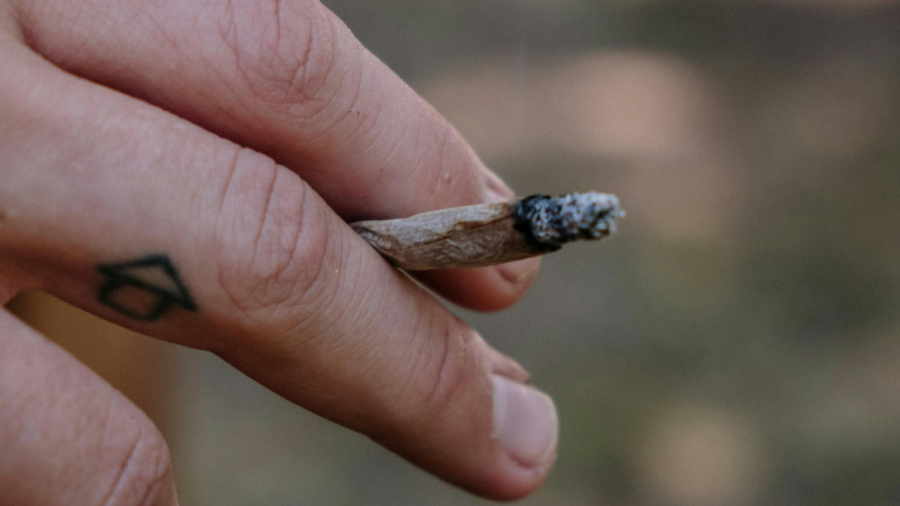 Homem chora em Santa Catarina ao ser multado por fumar maconha: “Como vou pagar o aluguel?”