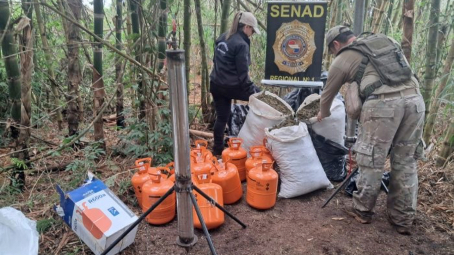 Do prensado aos concentrados: como o Paraguai entrou na rota das extrações de cannabis