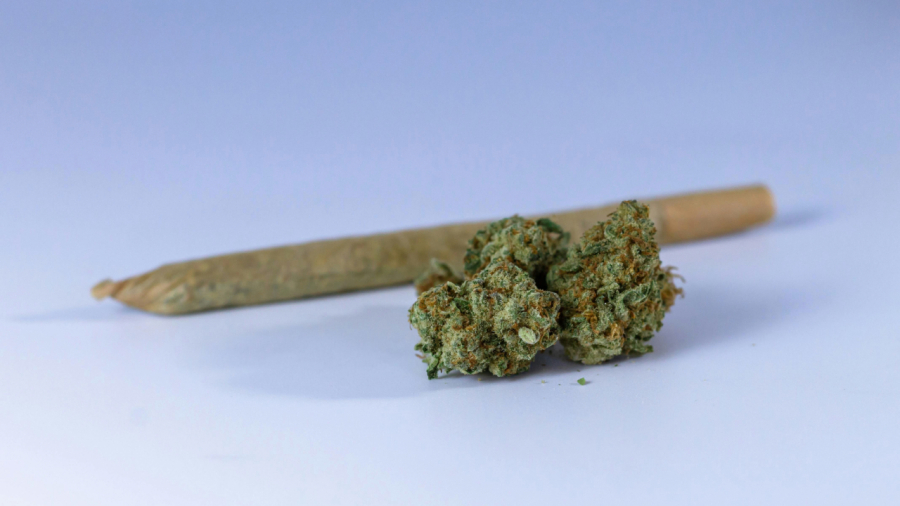 Unidade padrão de THC pode ajudar a reduzir riscos do uso de cannabis, aponta estudo