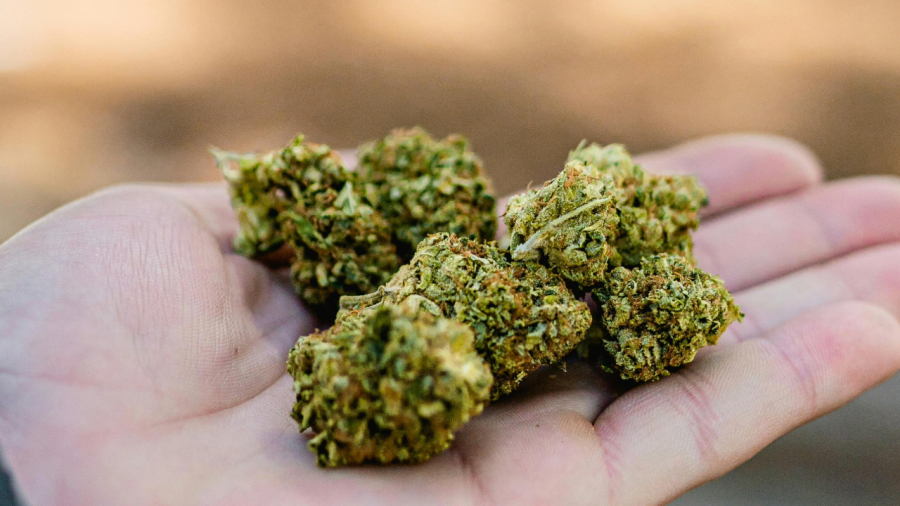 Justiça absolve acusado de tráfico em Santos ao concluir que apreensão envolvia apenas maconha para uso pessoal