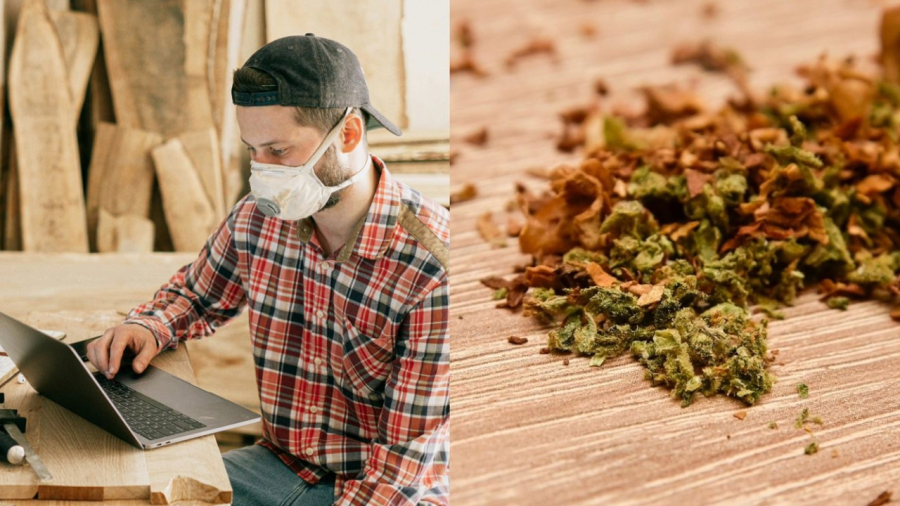 Justiça do Trabalho equipara maconha ao álcool e confirma justa causa