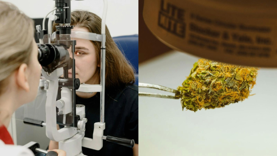 Estudo científico analisa efeitos do haxixe e da cannabis sobre a visão