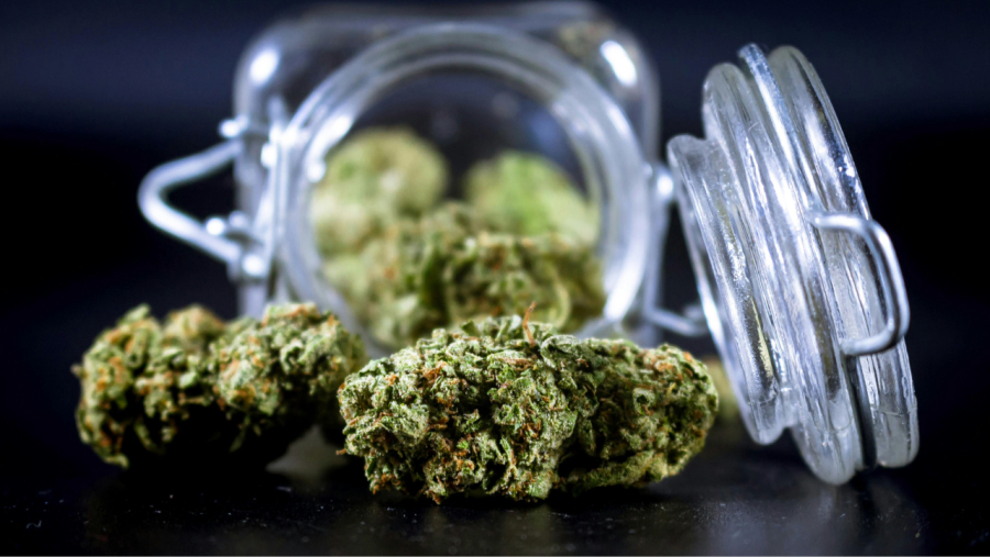 Como funciona o uso medicinal das flores de cannabis na Colômbia