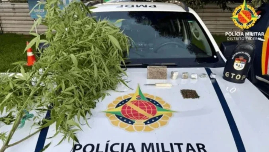 Idoso é preso por cultivar pé de maconha e guardar prensado na geladeira em Brasília