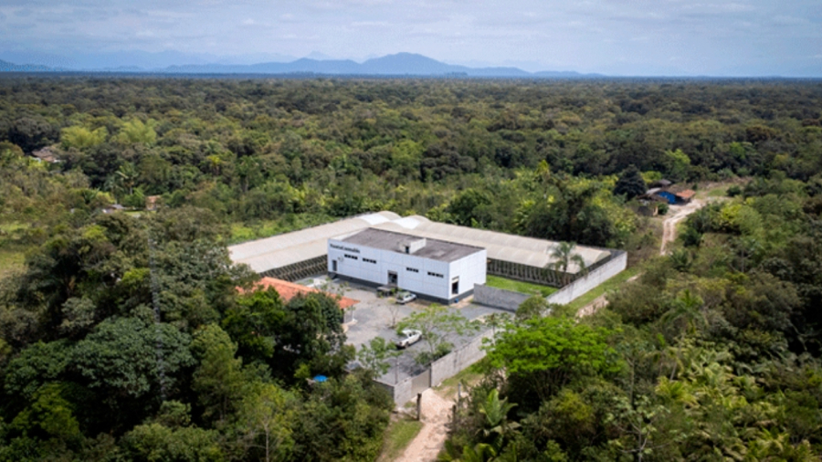 TRF4 revoga permissão da Santa Cannabis para cultivo e distribuição de cannabis medicinal