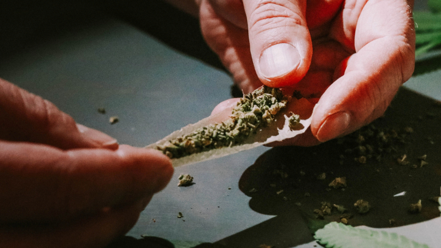 Tráfico de drogas dispara após decisão do STF sobre maconha