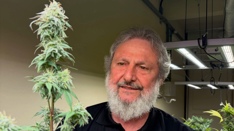 Padre candidato lança folheto digital com a temática da maconha para tentar reeleição