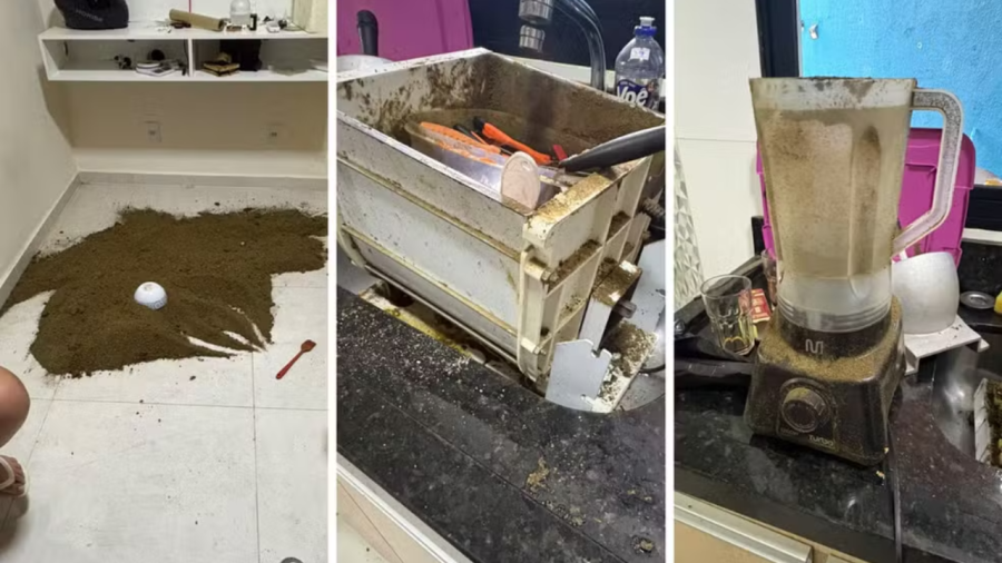 Polícia descobre “laboratório” de extração de BHO em São Paulo